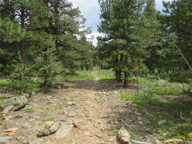 a view of outdoor space and trees