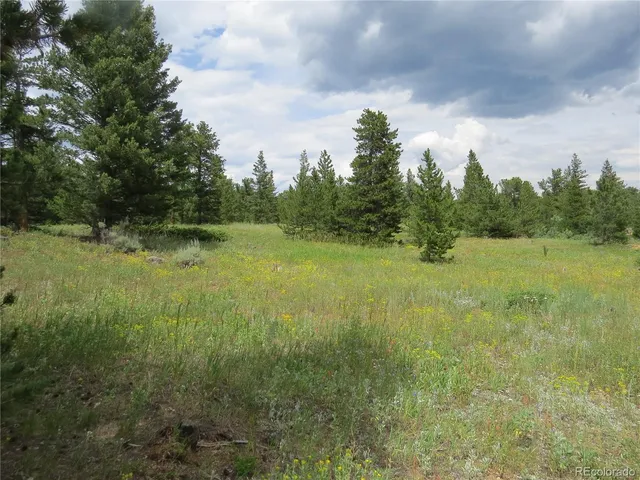 a view of a field with an trees in the background