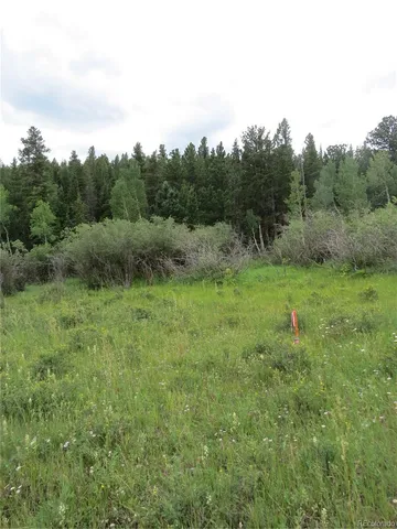 a big yard with lots of green space and deers