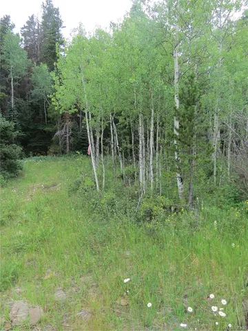 a view of a green field with lots of bushes