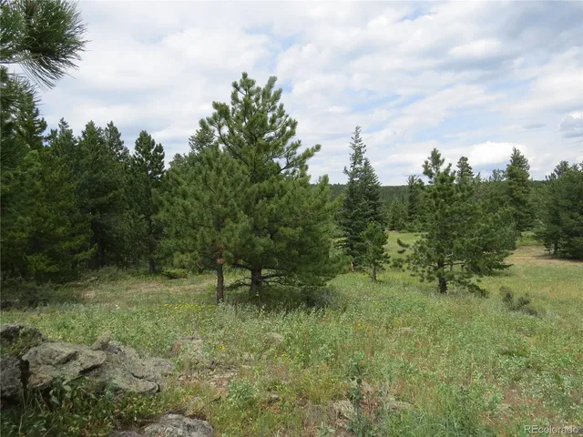 a view of outdoor space and green space