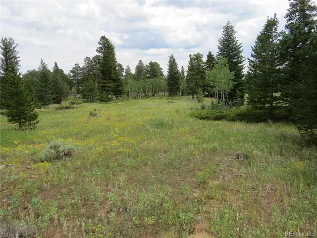 a view of a field with trees in the background