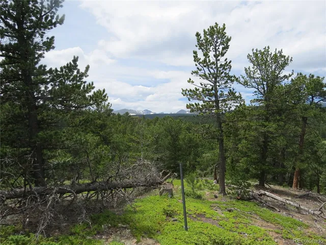 a backyard of a house with lots of trees