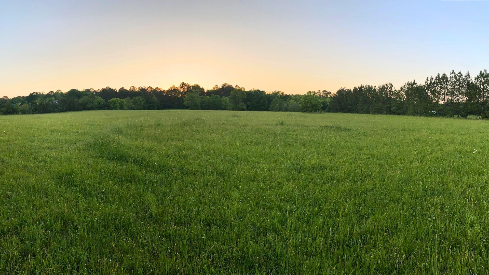 0 Thomas Road Benton, TN 37307 - Photo 14 of 16