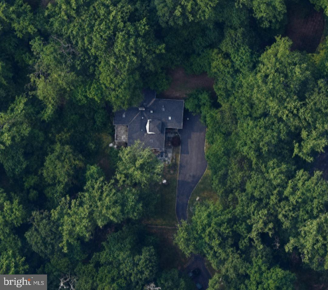 756 Campwoods Road Villanova, PA 19085 - Photo 10 of 38 Secluded retreat amidst lush greenery.