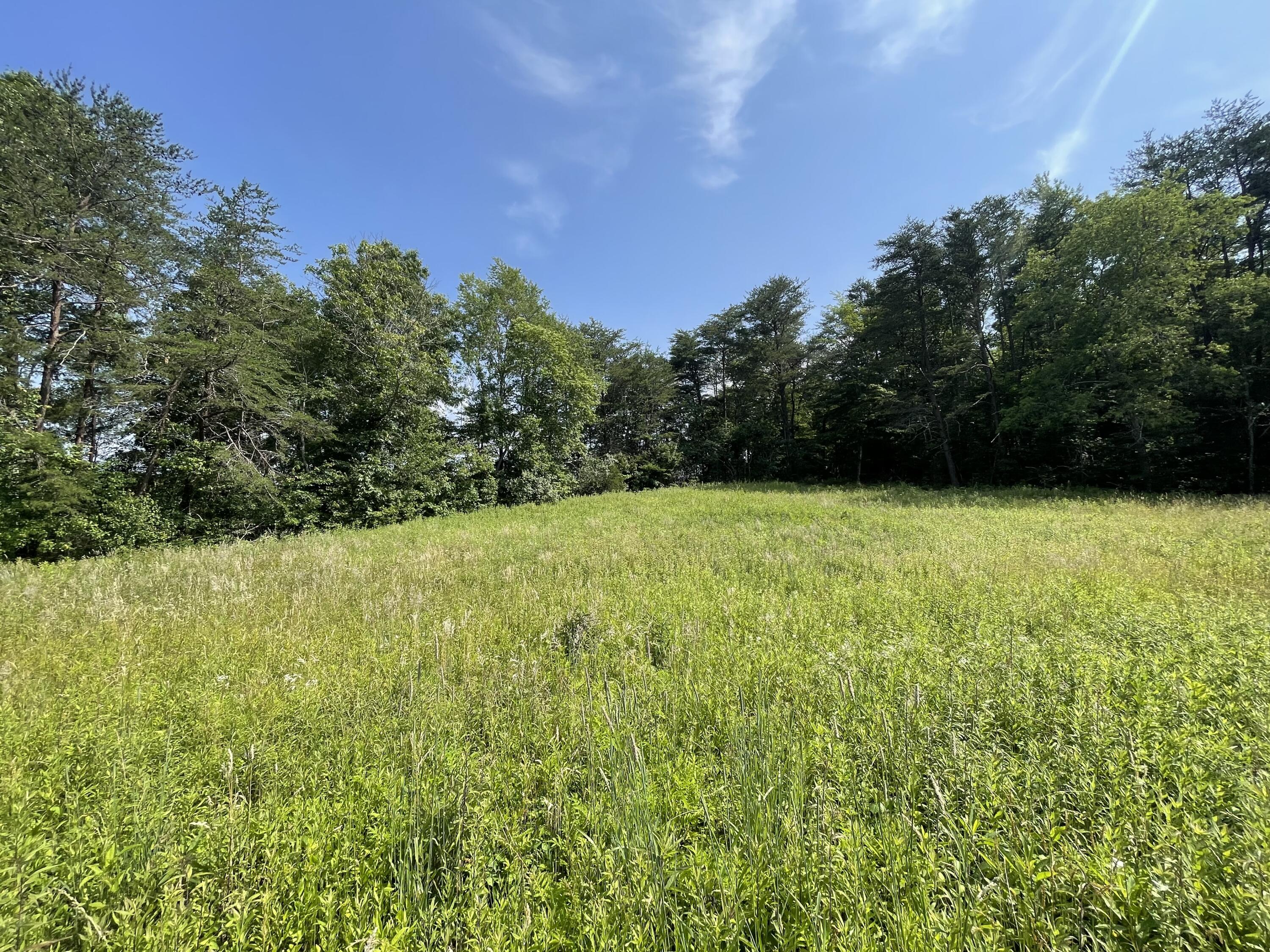 4750 Thomas And Smith Road Pikeville, TN 37367 - Photo 12 of 19 IMG_5763