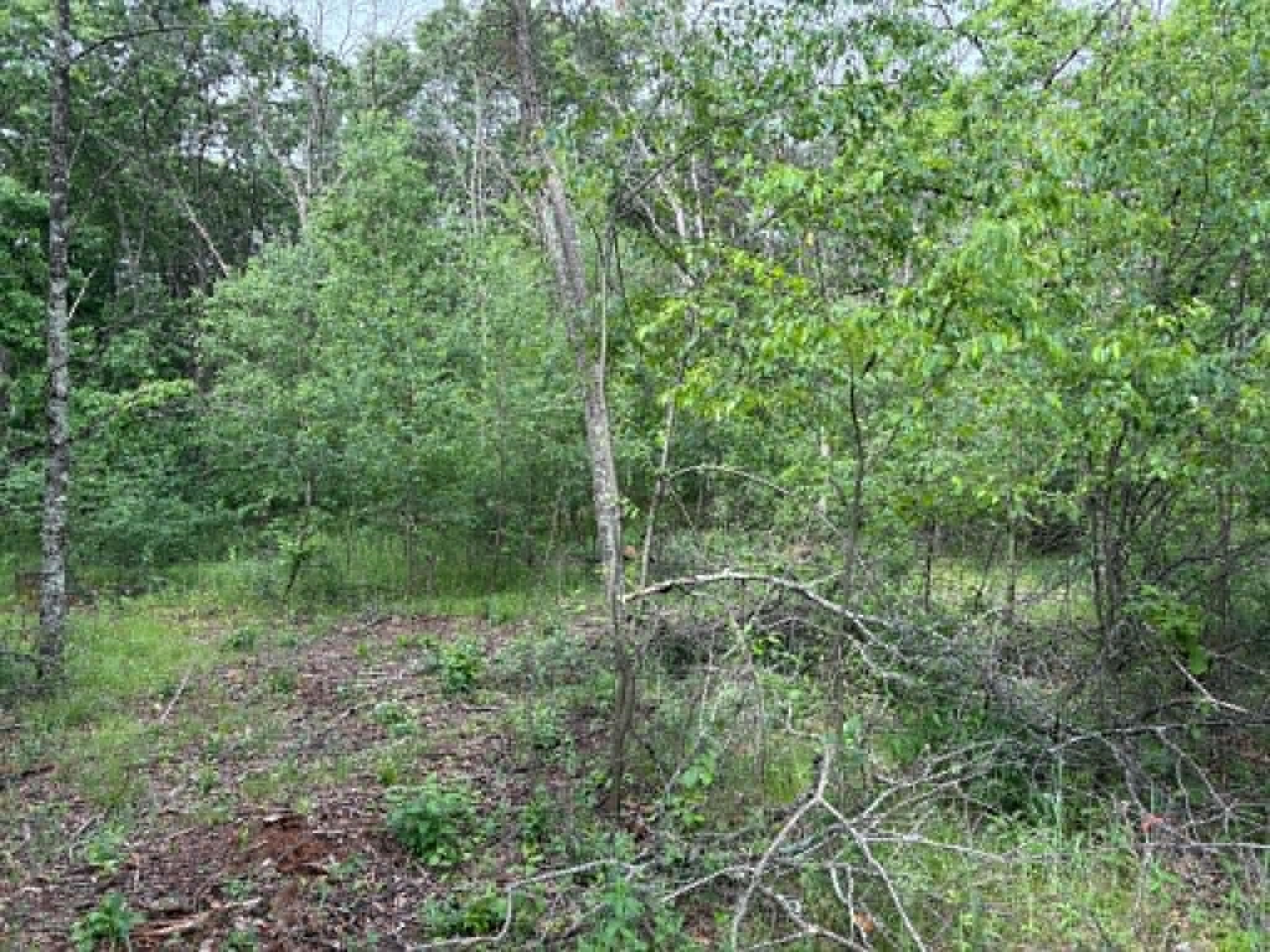 Lot 13 19th Friendship, WI 53934 - Photo 13 of 18