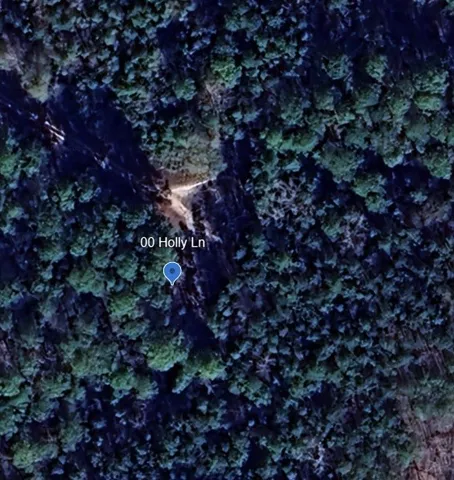 $12,000 | 0 Holly Street, Oakhurst, TX 77359