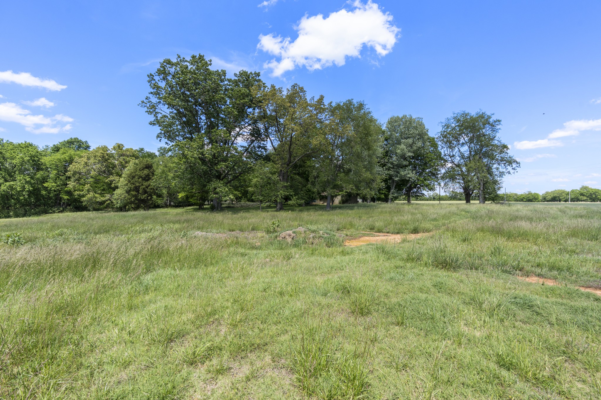 5078 Boyd Holland Road Springfield, TN 37172 - Photo 20 of 46 a view of a grassy field with trees in the background