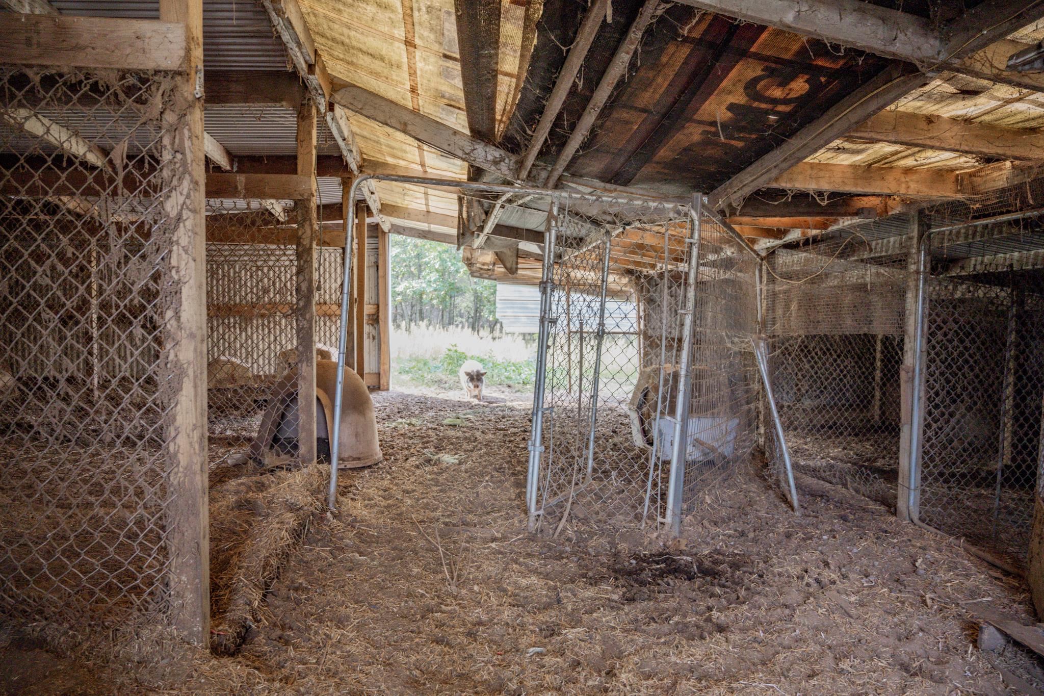 8838 County Road Sparta, WI 54656 - Photo 30 of 74