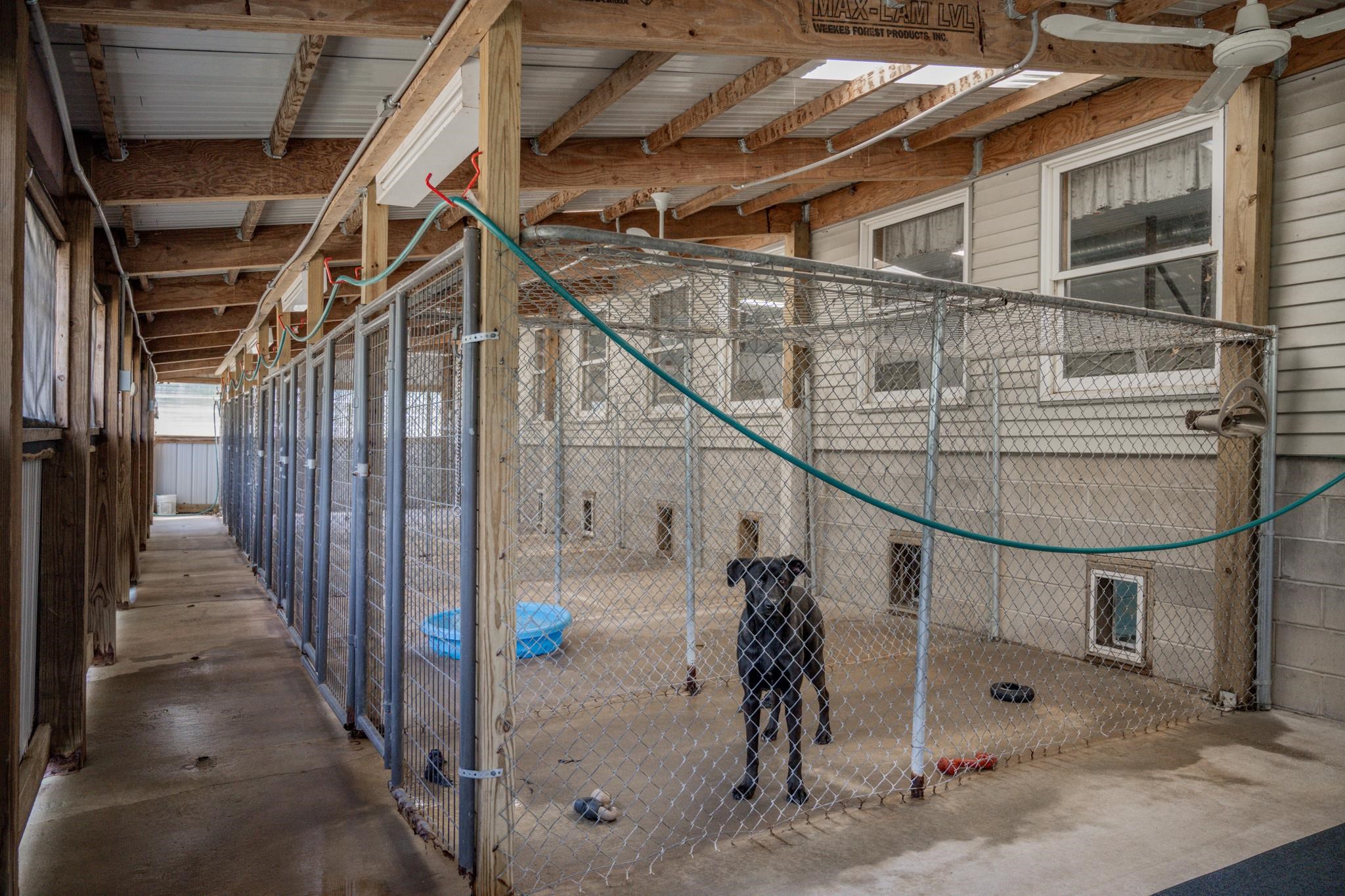 8838 County Road Sparta, WI 54656 - Photo 43 of 74