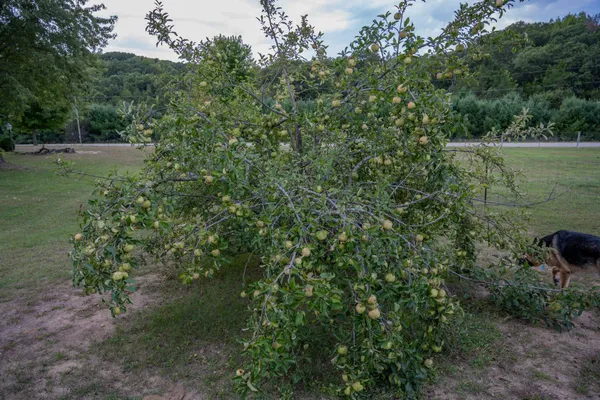 $398,988 | 8838 County Road, Sparta, WI 54656