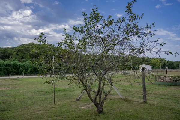 $398,988 | 8838 County Road, Sparta, WI 54656