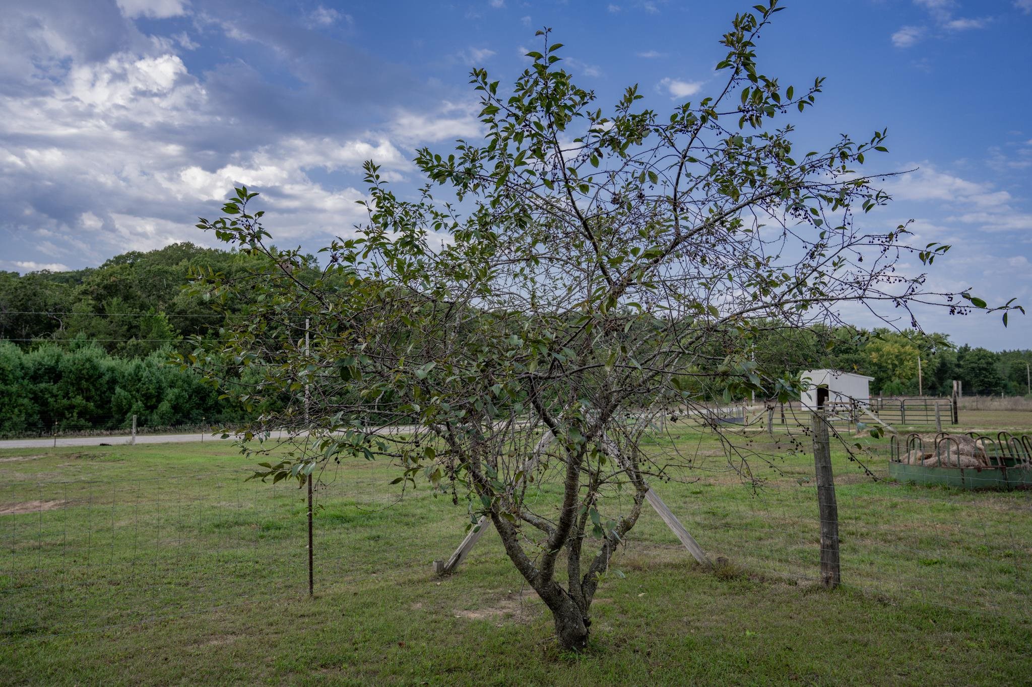8838 County Road Sparta, WI 54656 - Photo 58 of 74