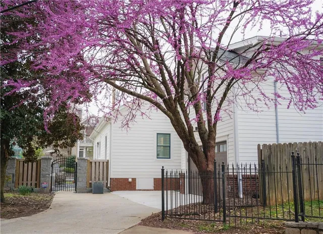 a tree is standing in between the two tall trees