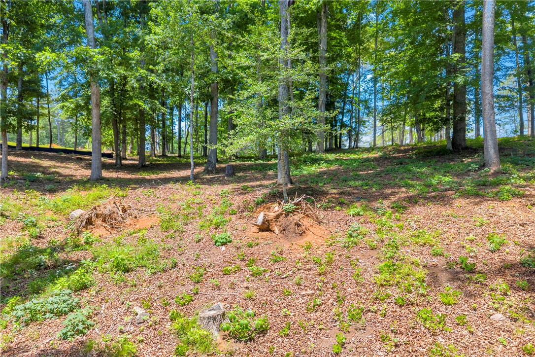 Lot 60 Harbor Point Seneca, SC 29672 - Photo 22 of 30 Mature trees and lush undergrowth define this tranquil, wooded parcel.