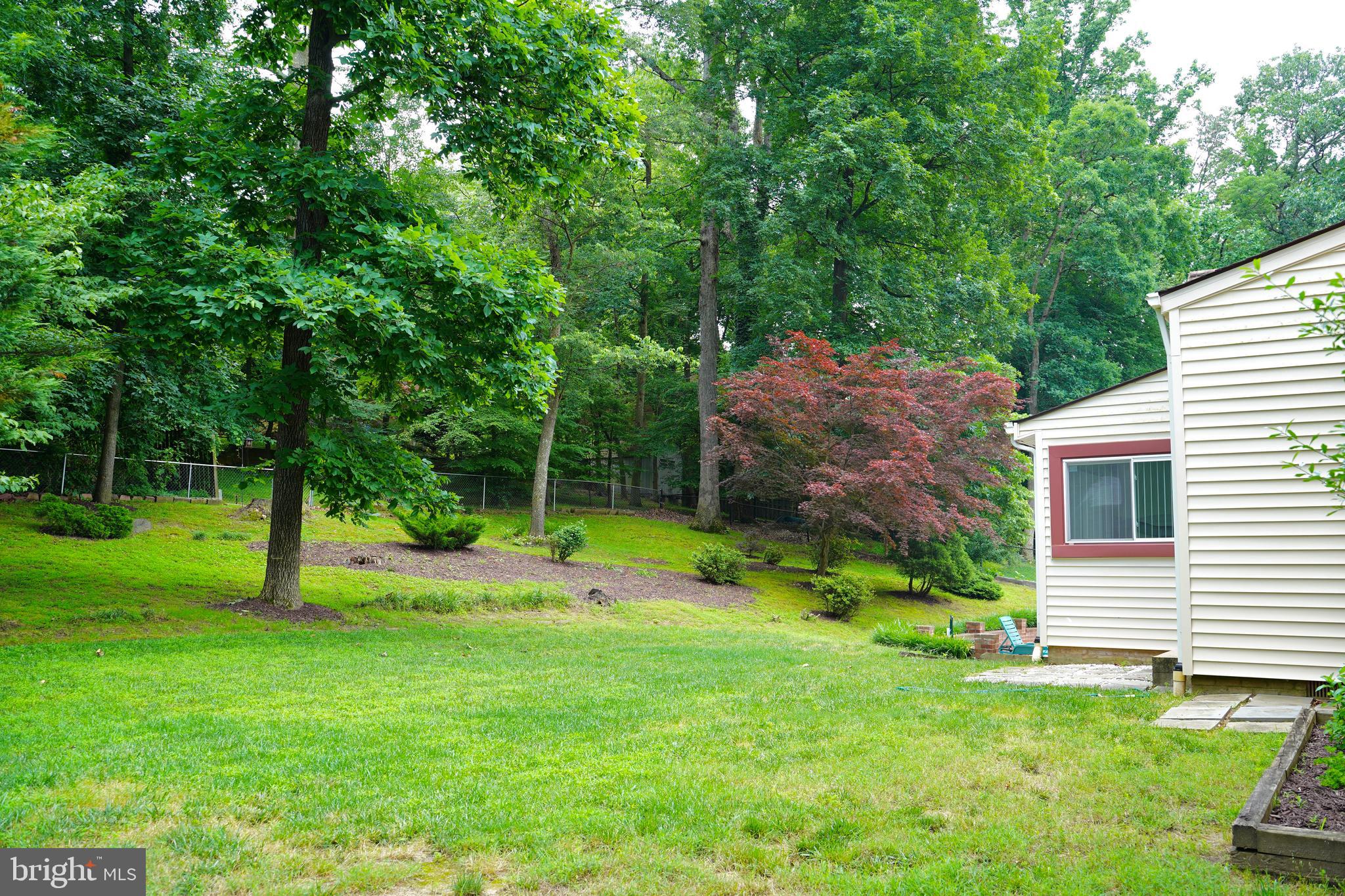 15125 Watergate Road Silver Spring, MD 20905 - Photo 6 of 24 Beautiful backyard