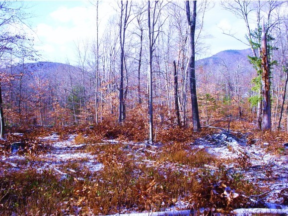 Lot 46 G Dale Road Sandwich, NH 03227 - Photo 1 of 10 Gallery Image 1