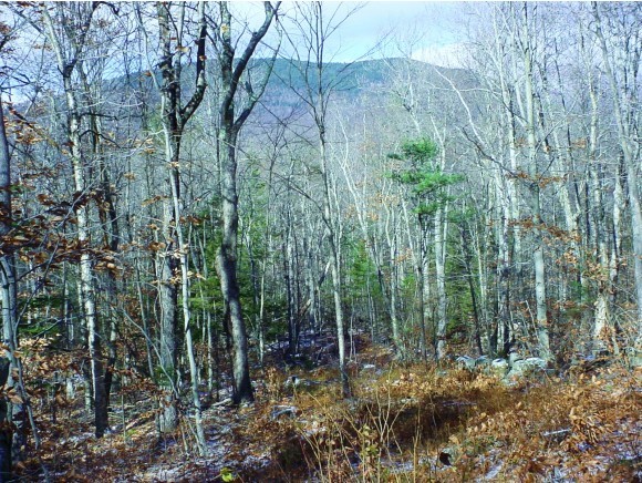 Lot 46 G Dale Road Sandwich, NH 03227 - Photo 2 of 10 Gallery Image 2