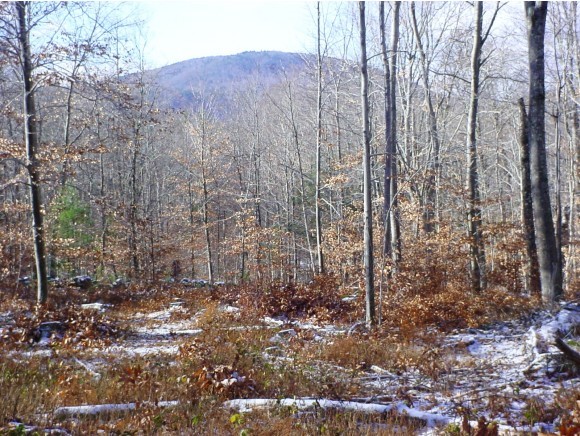 Lot 46 G Dale Road Sandwich, NH 03227 - Photo 4 of 10 Gallery Image 4