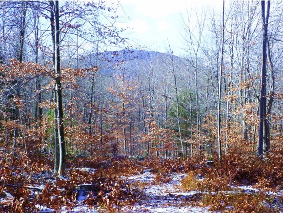 Lot 46 G Dale Road Sandwich, NH 03227 - Photo 5 of 10 Gallery Image 5