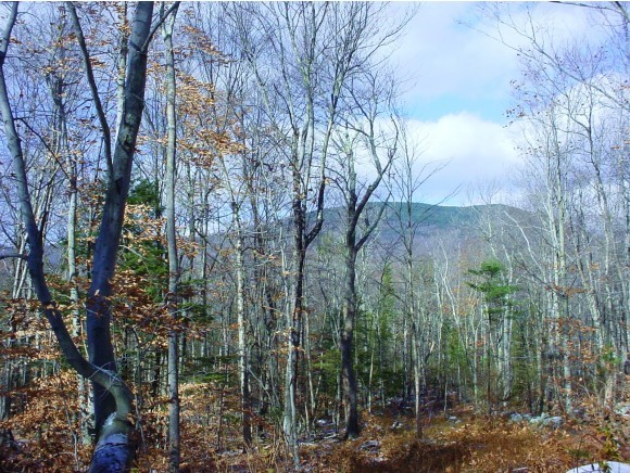 Lot 46 G Dale Road Sandwich, NH 03227 - Photo 6 of 10 Gallery Image 6