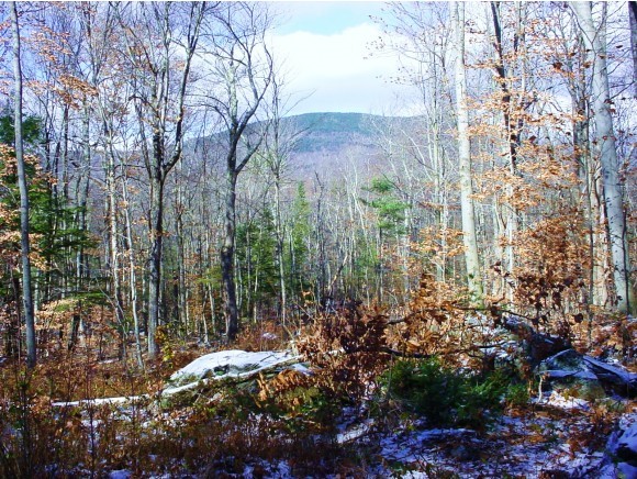 Lot 46 G Dale Road Sandwich, NH 03227 - Photo 7 of 10 Gallery Image 7