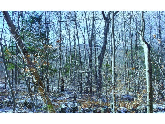 Lot 46 G Dale Road Sandwich, NH 03227 - Photo 8 of 10 Gallery Image 8