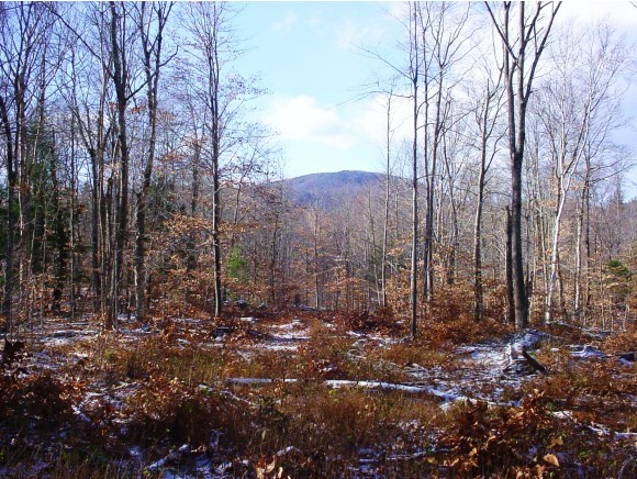 Lot 46 G Dale Road Sandwich, NH 03227 - Photo 10 of 10 Gallery Image 10