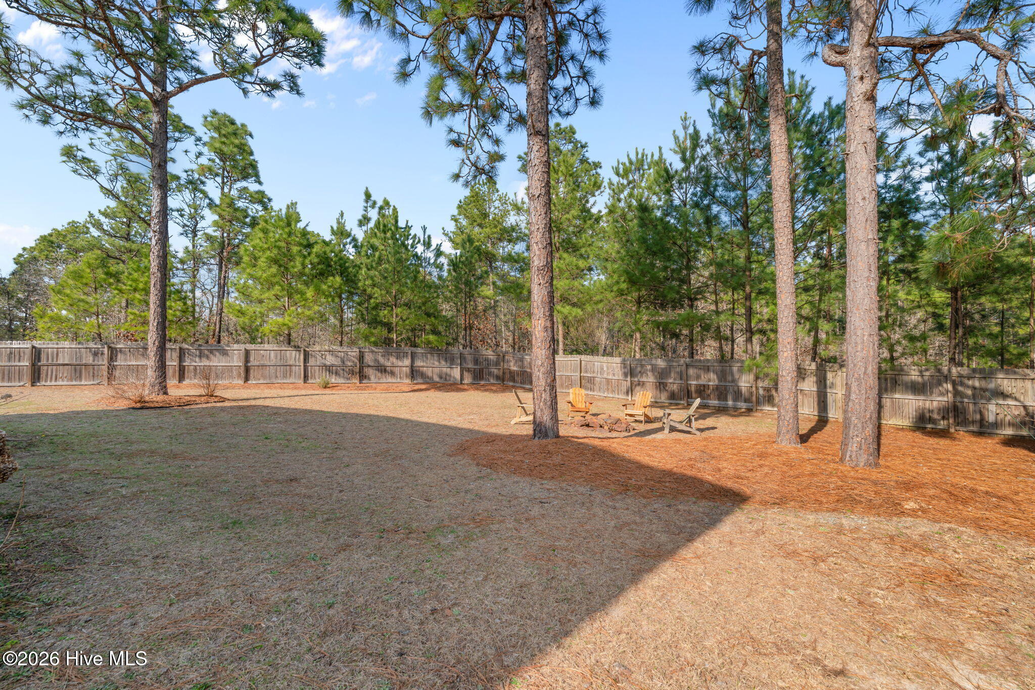 264 Spring Flowers Drive Cameron, NC 28326 - Photo 44 of 60 45-web-or-mls-DSC07803