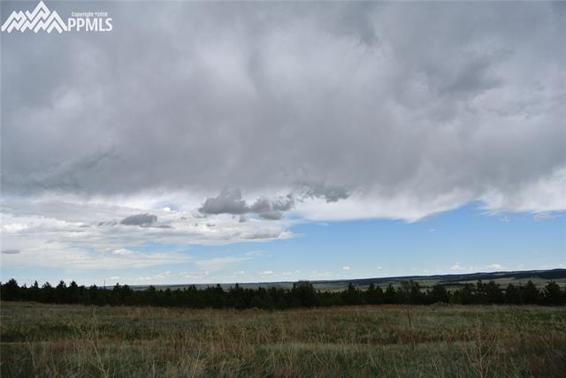 13925 Double Tree Ranch Circle Elbert, CO 80106 - Photo 25 of 33