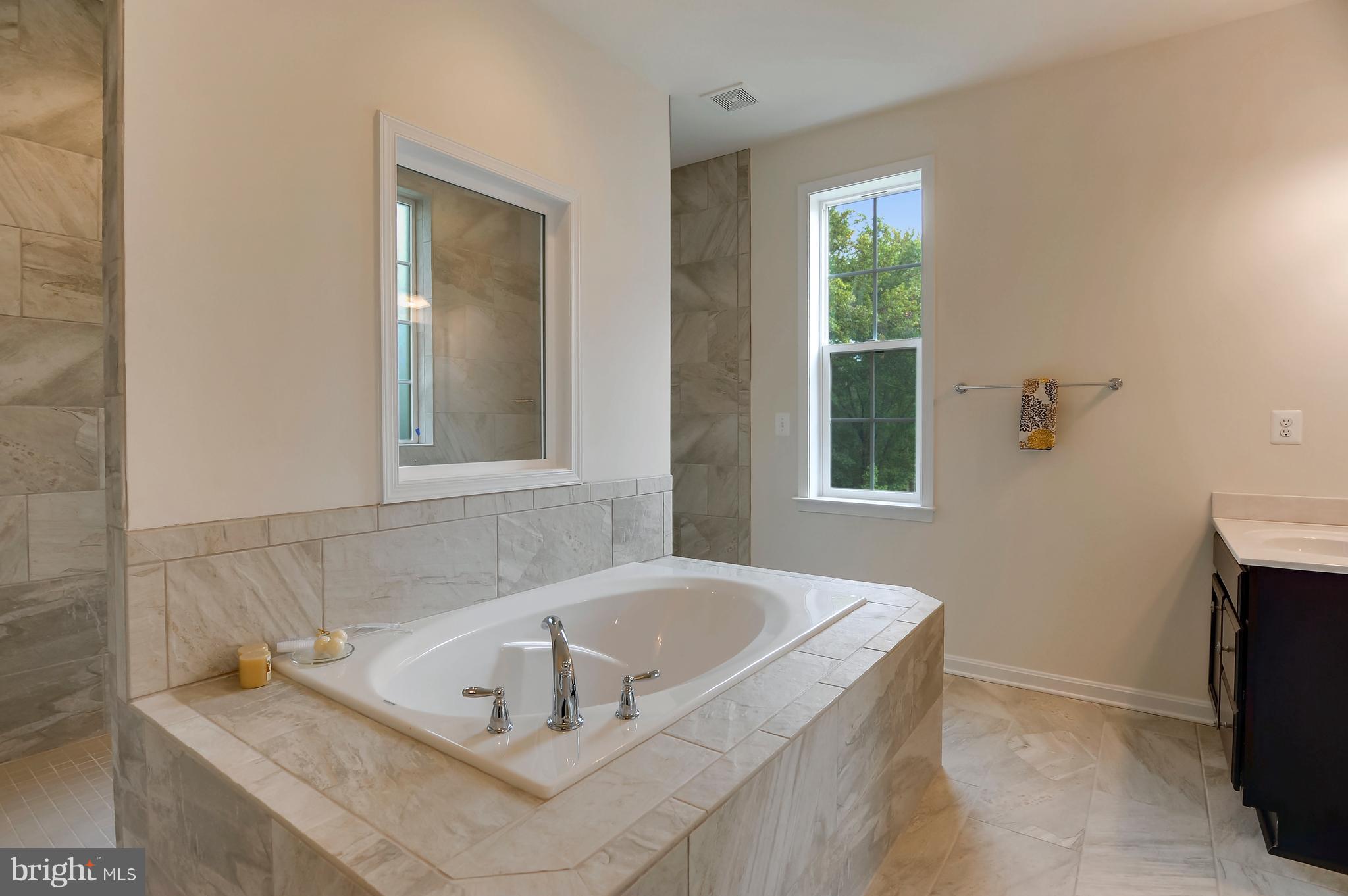 11523 Neon Road Fort Washington, MD 20744 - Photo 14 of 20 Bath (Master)