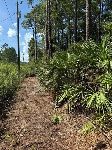 a view of a yard with plants