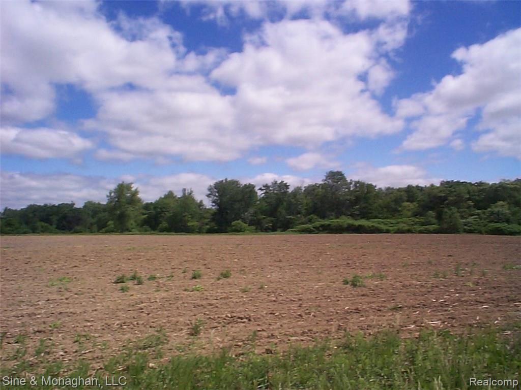 0 Belle River Road, Unit 4 Marine City, MI 48039 - Photo 3 of 4