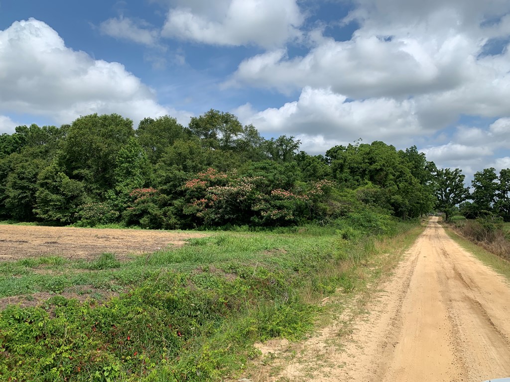 0 Corinth Road Slocomb, AL 36375 - Photo 10 of 11