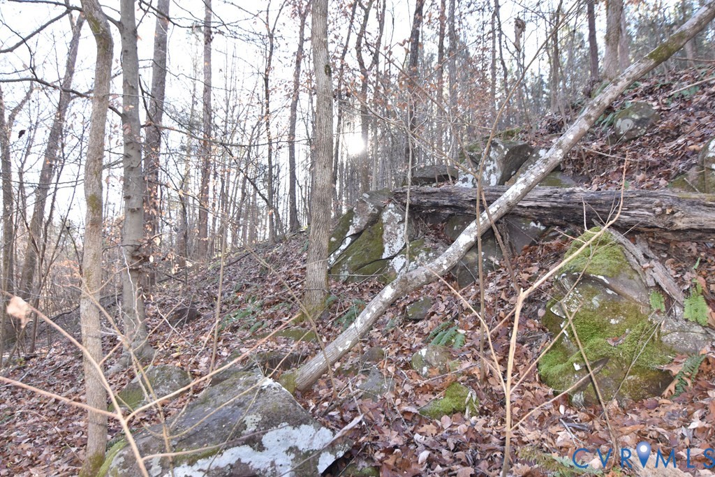 0 Plank Road Dillwyn, VA 23936 - Photo 16 of 23 Gallery Image 16