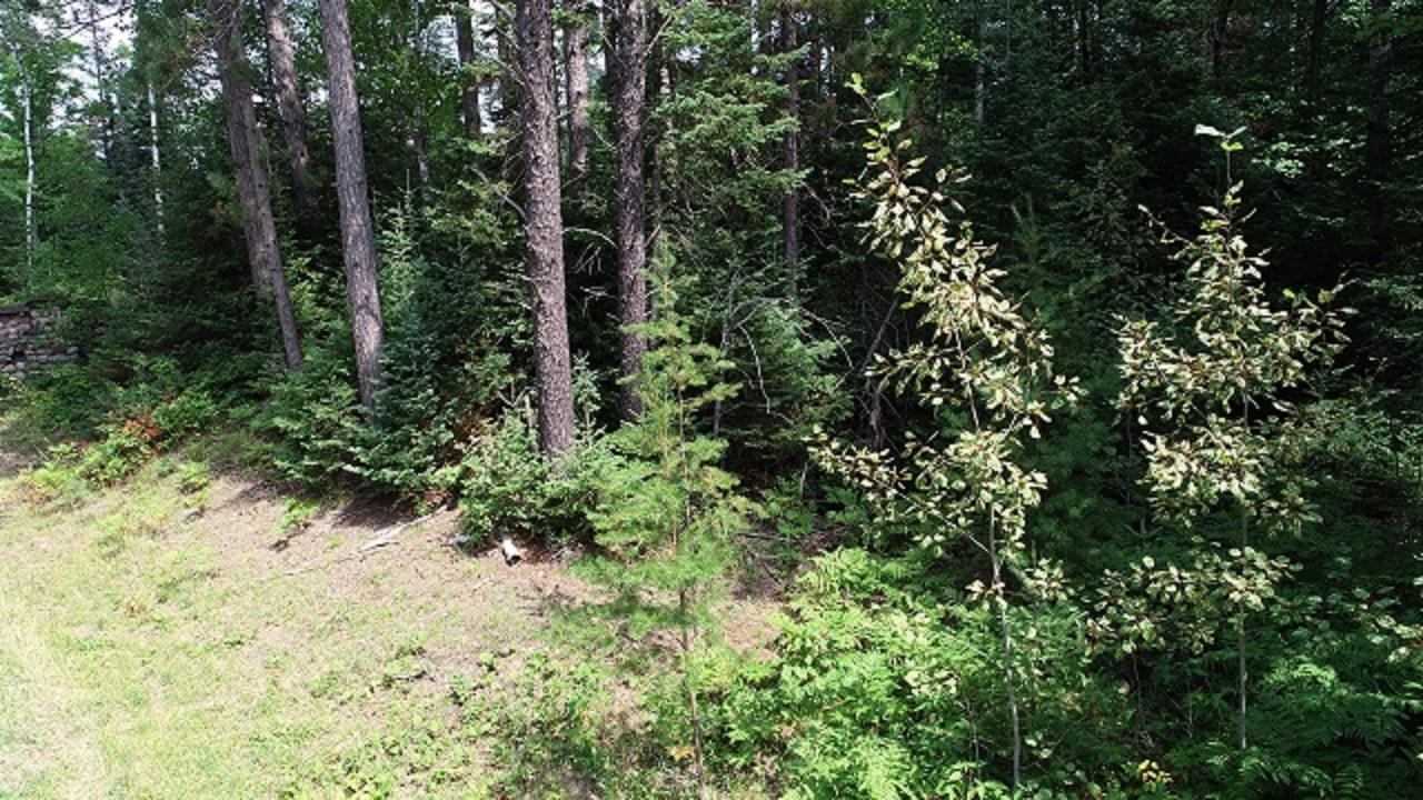 Lot 10 Cth Ff Mercer, WI 54547 - Photo 21 of 21 Gallery Image 21