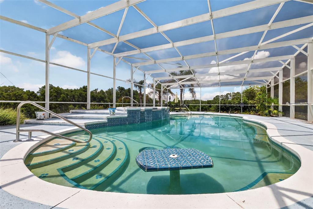17269 Southeast 260th Avenue Road Umatilla, FL 32784 - Photo 97 of 99