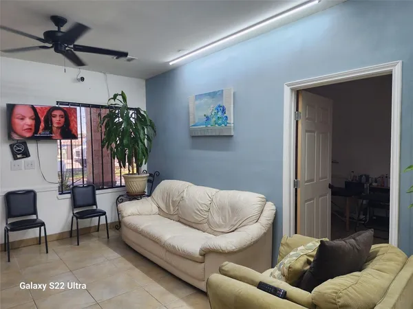 a living room with furniture and a potted plant