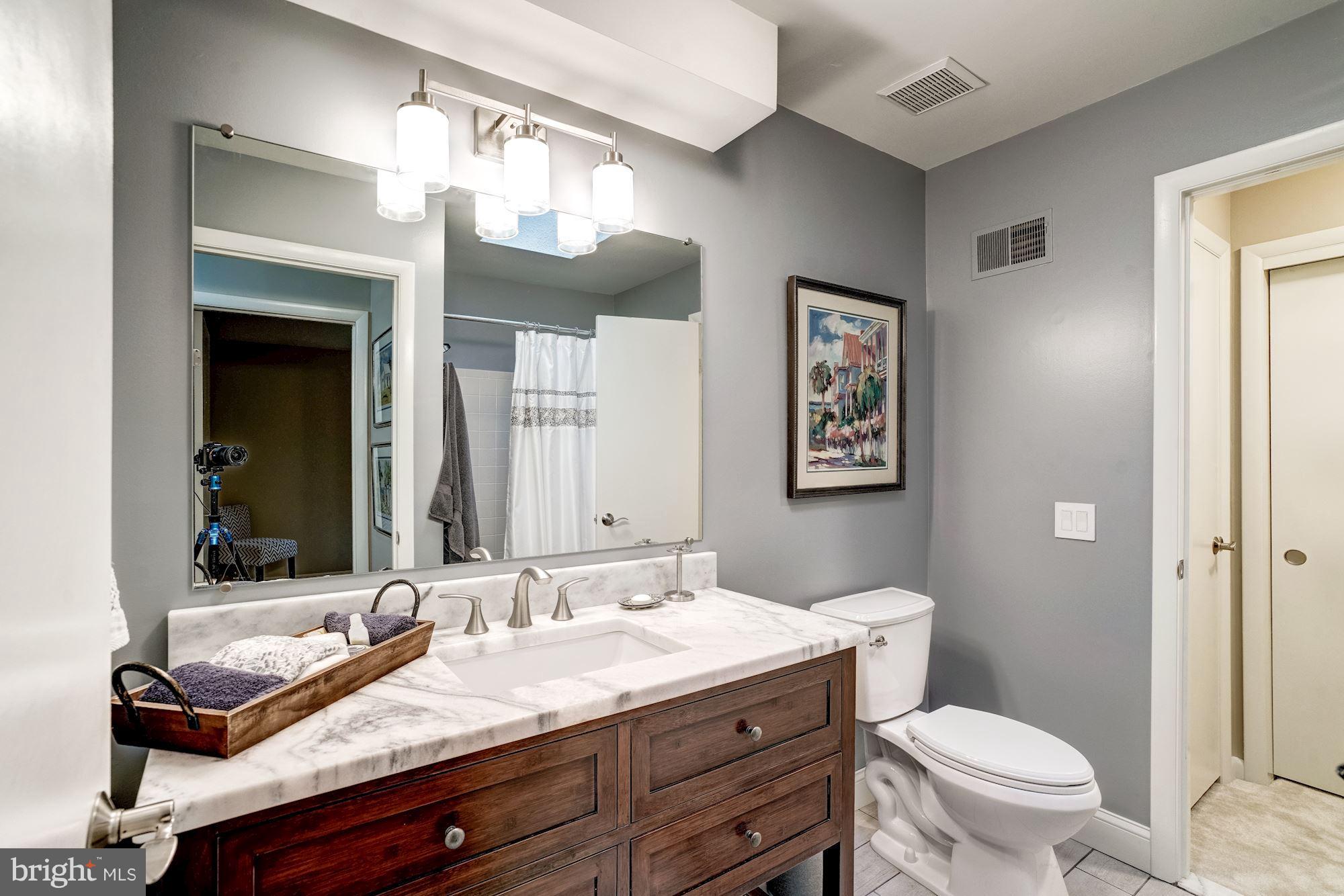 1579 Brass Lantern Way Reston, VA 20194 - Photo 18 of 30 Bath