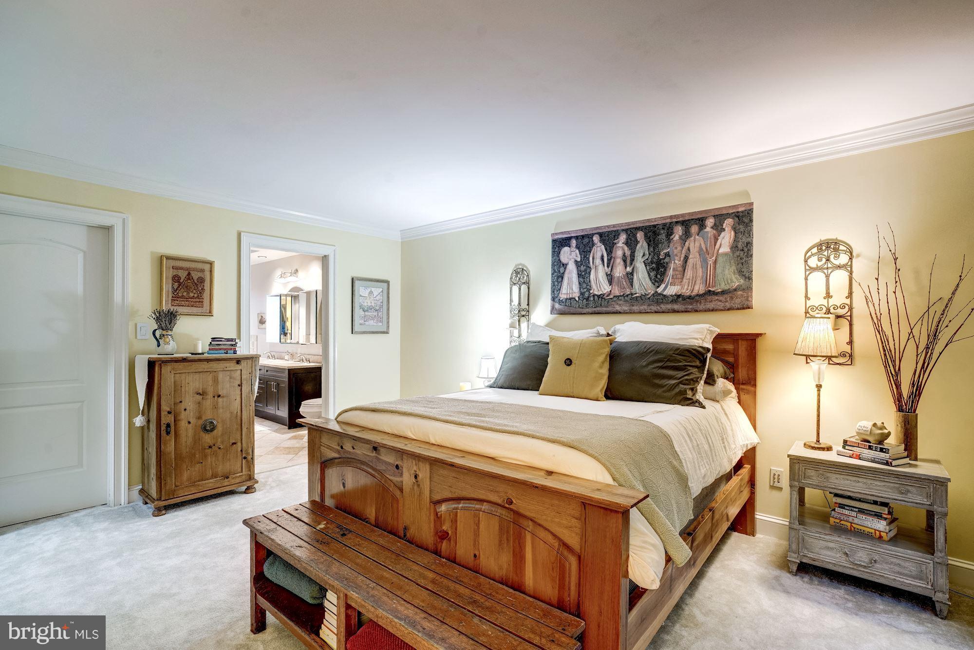 1579 Brass Lantern Way Reston, VA 20194 - Photo 10 of 30 Bedroom (Master)