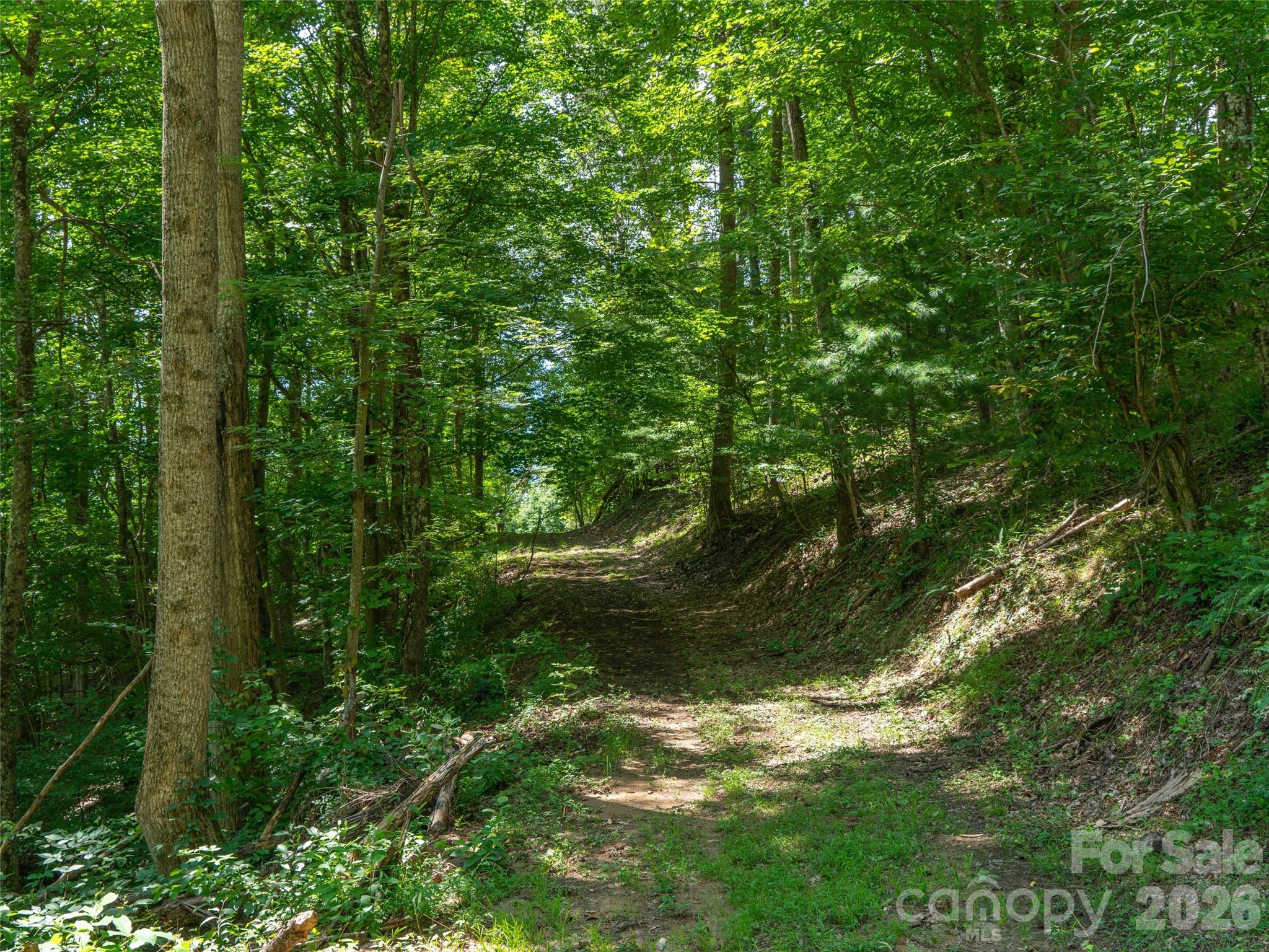 0 Locust Rough Mountain Road, Unit LOT 6 Burnsville, NC 28714 - Photo 21 of 26