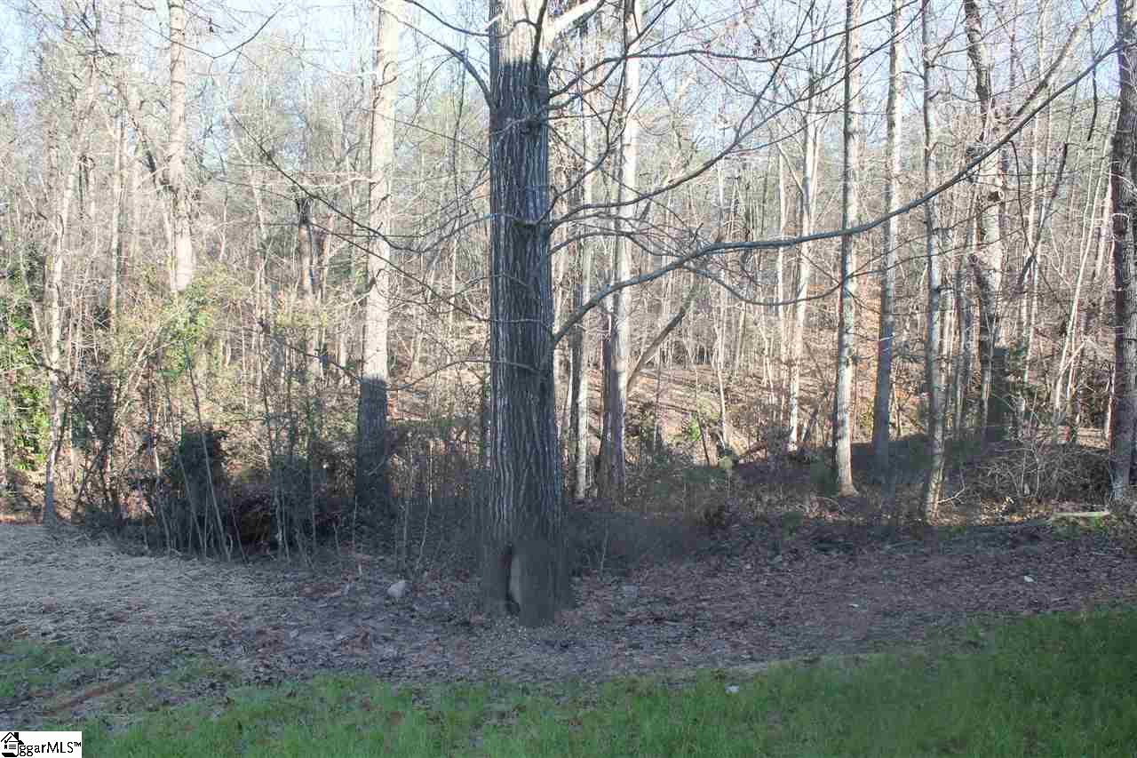 160 Forrest Drive Fountain Inn, SC 29644 - Photo 10 of 11 Gallery Image 10