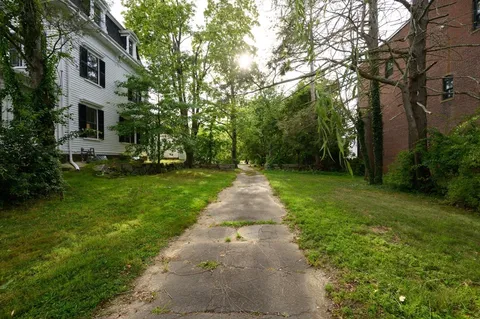 a view of a yard with plants and trees
