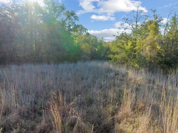 a view of a yard with wooden fence