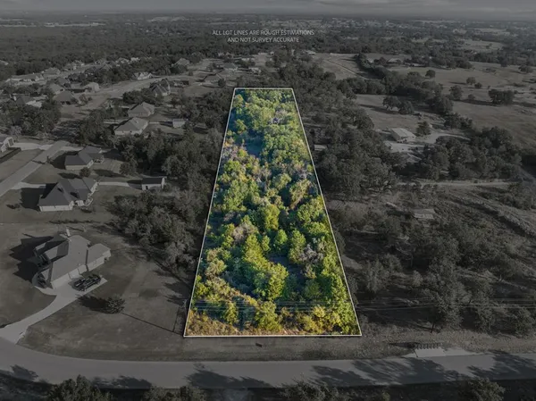 a view of a forest with trees in the background