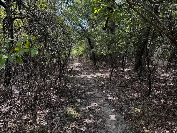 a view of a bench in a garden