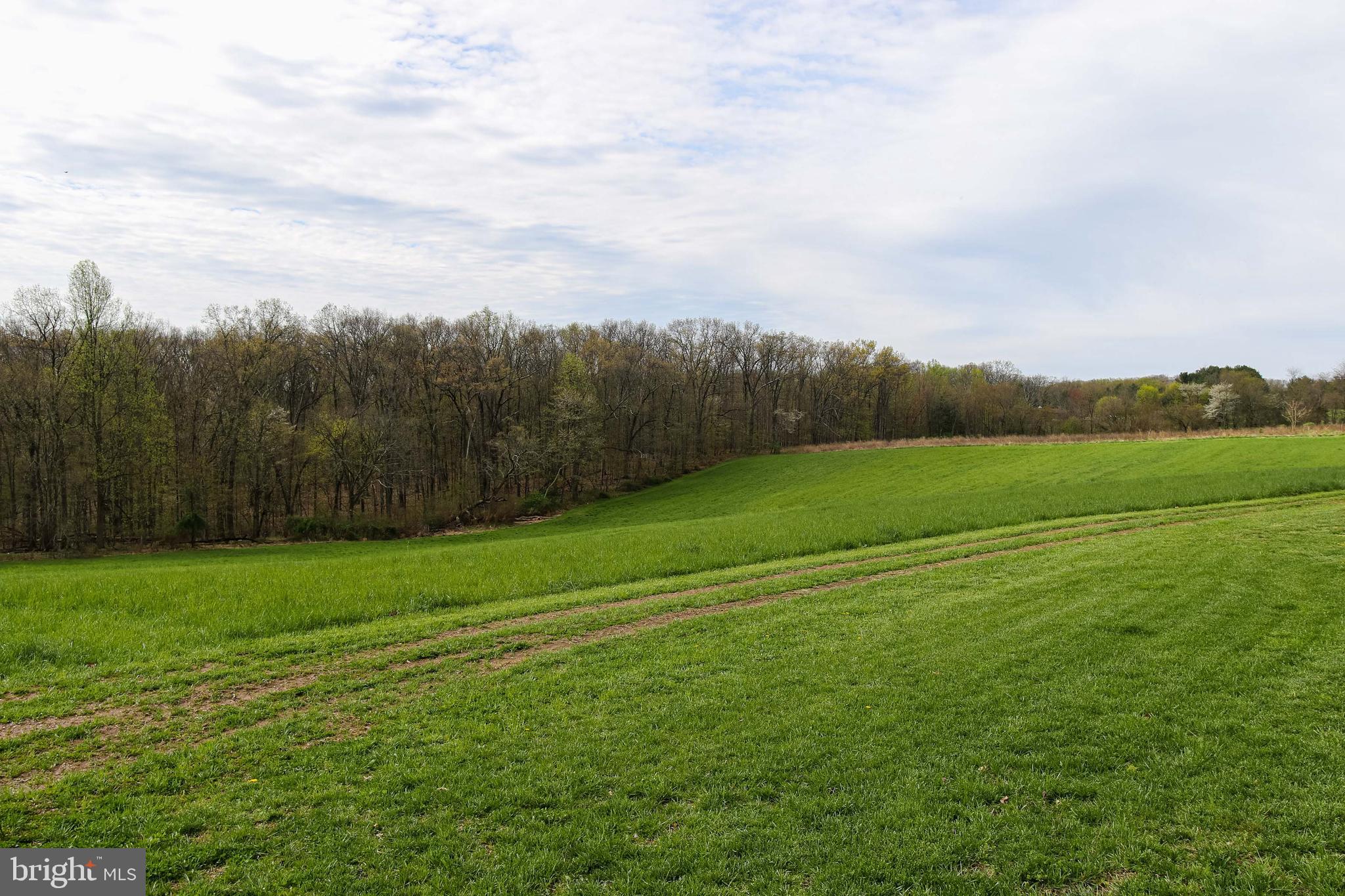 4351 Babylon Road Taneytown, MD 21787 - Photo 41 of 57 Gallery Image 41
