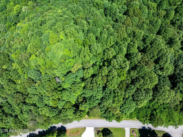 $17,000 | 0 Chestnut Hill Drive, Athens, TN 37303