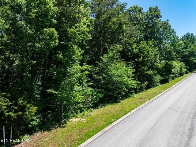 $17,000 | 0 Chestnut Hill Drive, Athens, TN 37303